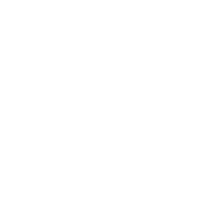 Newport Rentals