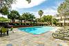 A serene pool area surrounded by palm trees and lounge chairs, with green umbrellas and buildings in the background.