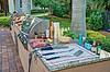 BBQ Grilling Station