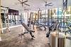 Modern gym interior with exercise equipment, including weights, benches, and large windows letting in natural light.