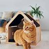 Cat in small cat house indoors by food and water bowl