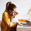 young woman working on laptop at home while holding her small dog