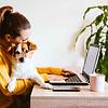 young woman working on laptop at home while holding her small dog