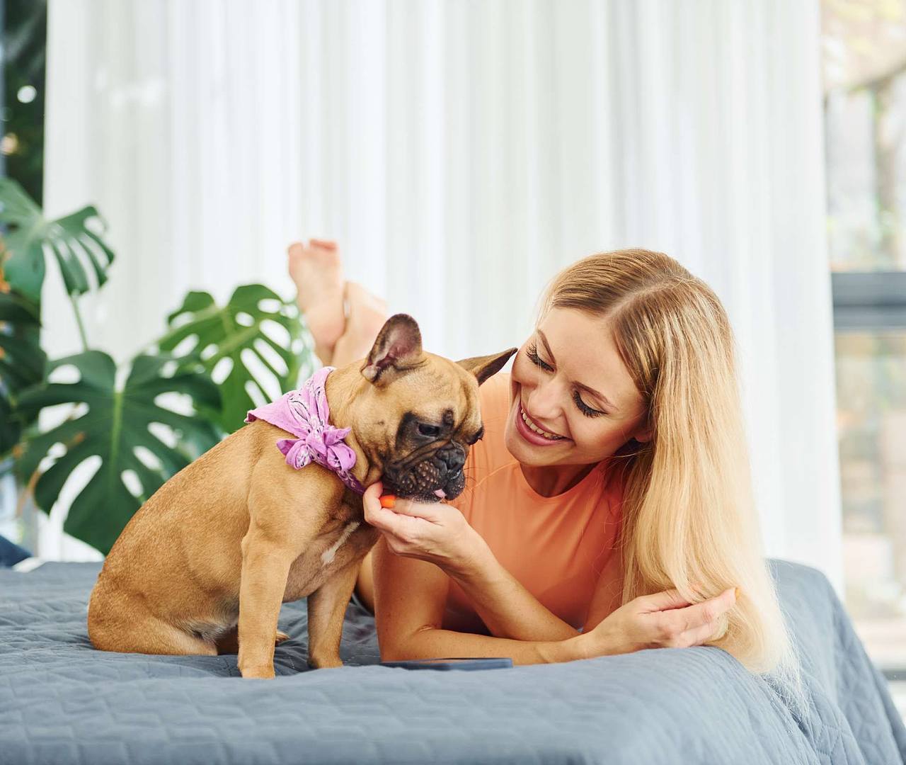 A woman smiles at a dog on a bed, with green plants in the background and a cozy indoor setting.