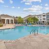 Resort-Style Saltwater Pool Area with Sun Shelf at Realm at Patterson Place Apartments. 