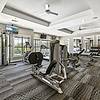 Gym with cable equipment, free weights, mosaic carpet flooring, machines, ceiling fans for cooling, mirrored walls, and views of outdoors at Lantower The Cortona