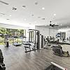 Spacious gym with free weights, machines, treadmills, large mirrored walls, and large windows for natural lighting at Lantower Round Rock