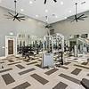 Spacious state-of-the-art fitness center with free weights, TRX, weight machines, and cardio equipment at Lantower Westshore.