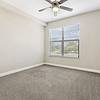 Spacious apartment bedroom with carpet, ceiling fan, and large window for natural light at Lantower Westshore.
