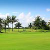 Golf course with palm trees