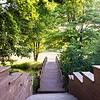 Walking path surrounded by trees