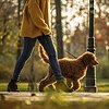 Woman walking dog outside in park during the fall season

