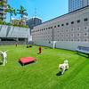 Pet-friendly community Rooftop dog park