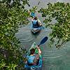 Exciting Attractions two people in kayaks under trees
