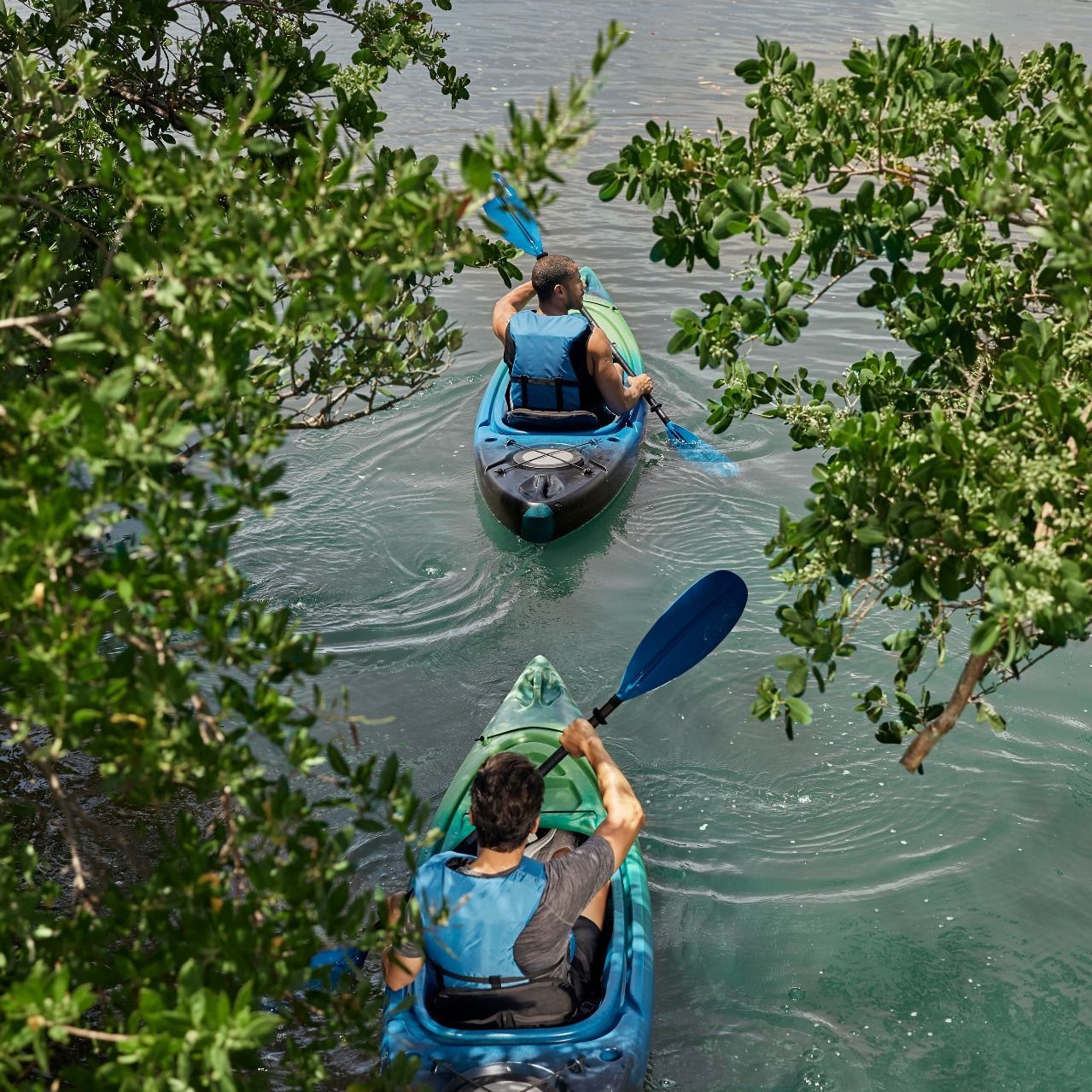 Parks & Beaches Kayaking through the Mangroves near SoLé Mia Apartments in North Miami