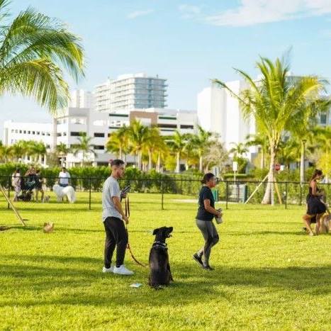 Dog Parks