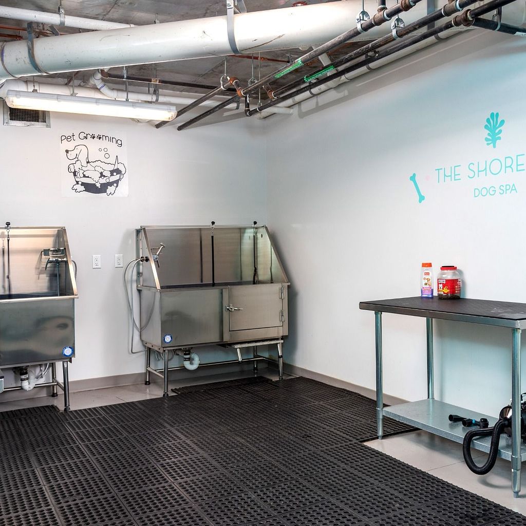 Dog Park & Pet Grooming Areas Pet Grooming Station at The Shoreline