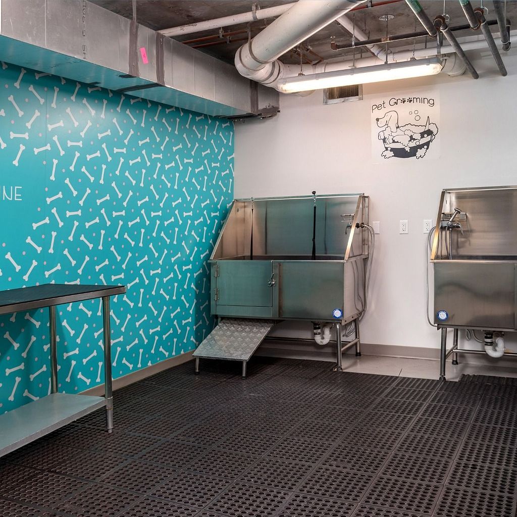 Dog Park & Pet Grooming Areas Pet Grooming Station