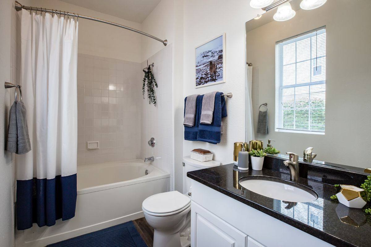 Apartment Gallery | Luxury Apartments Bedford, NH