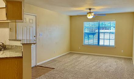 Unfurnished living room with carpet, ceiling fan, and window