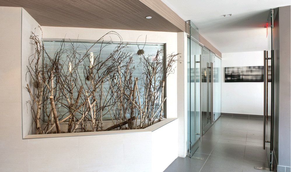 lobby with glass doors and planter full of dry plants